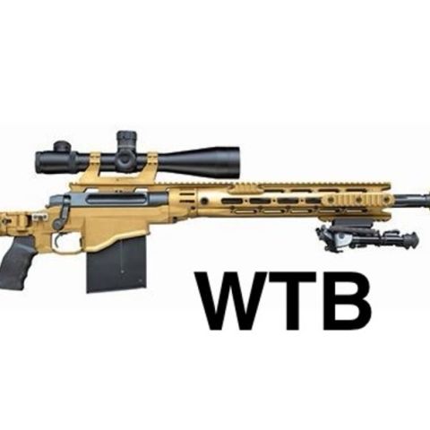 WTB Remington Defense MSR