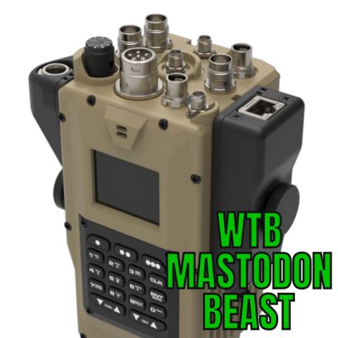 WTB MASTODON BEAST OR BEAST+