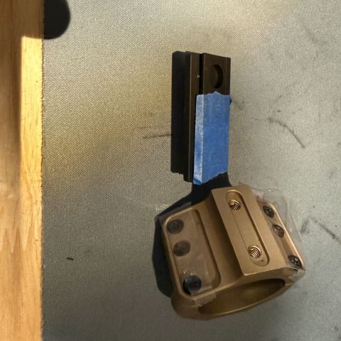 Reptilia, Koeng, Badger 