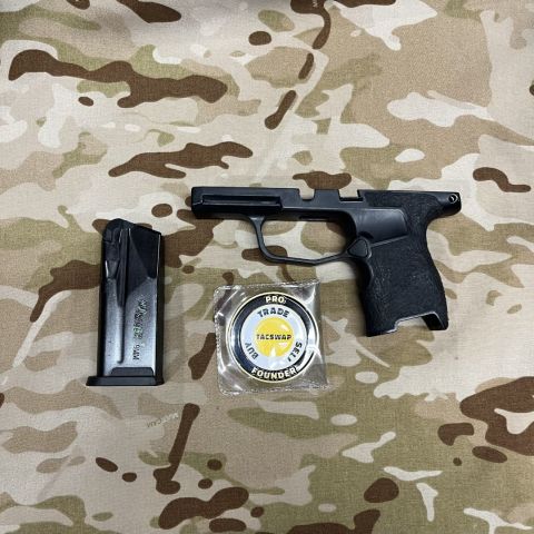 P365 Module & Mag