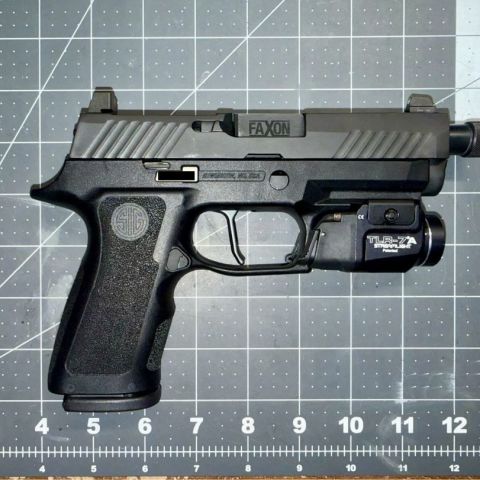 P320 w/ mags, light, holsters