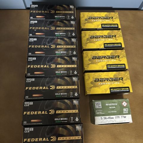 77gr .223 (federal and Berger)