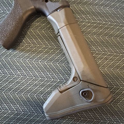 Reptilia Reece stock 