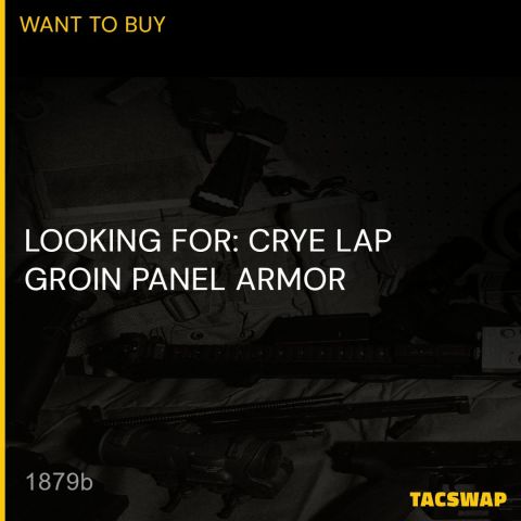 WTB: CRYE LAP PANEL ARMOR