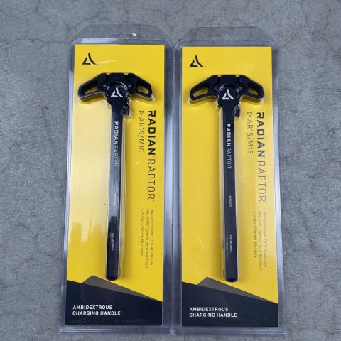 NIB Black Radian Raptor