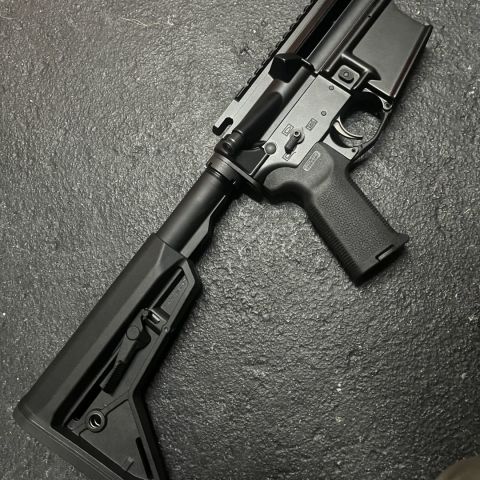 Sionics complete lower and stripped upper 