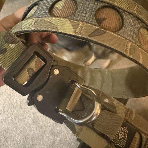 Ferro concepts belt bison xl