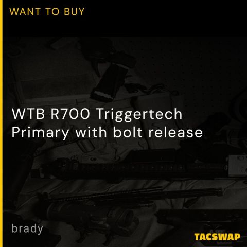 WTB R700 Triggertech Primary 