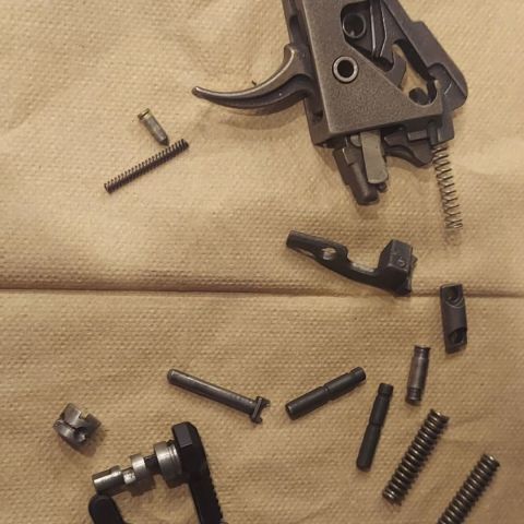 Fostech Echo 2 Binary Trigger