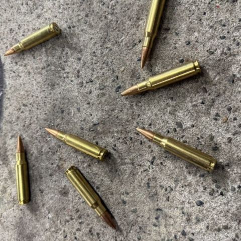 5.56, 7.62x51, 300blk