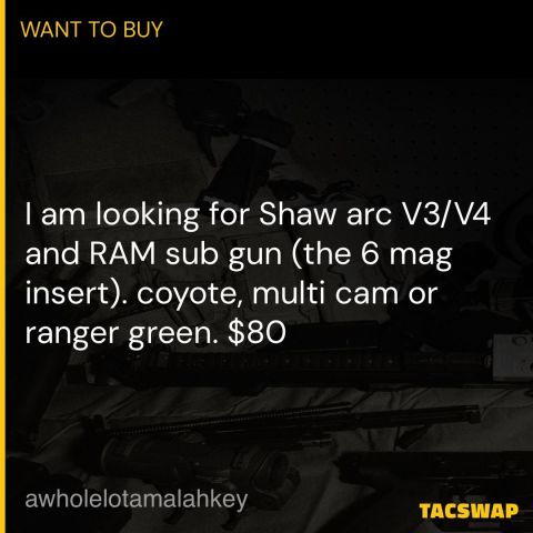 Shaw arc V3/V4 and RAM sub gun