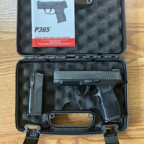 Sig P365xl