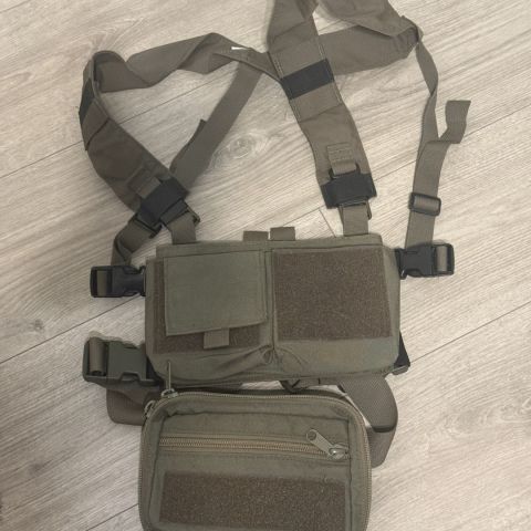 RDR chest rig and dangler. RG