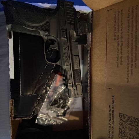 M&P 2.0 Metal HD Steel + Dot