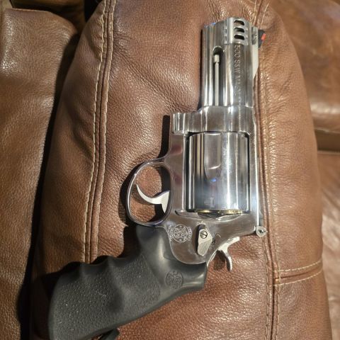 S&W 500