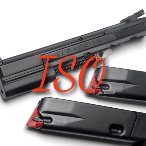 ISO: CZ kadet 2 22lr slide 