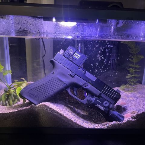Glawk in da fih tank