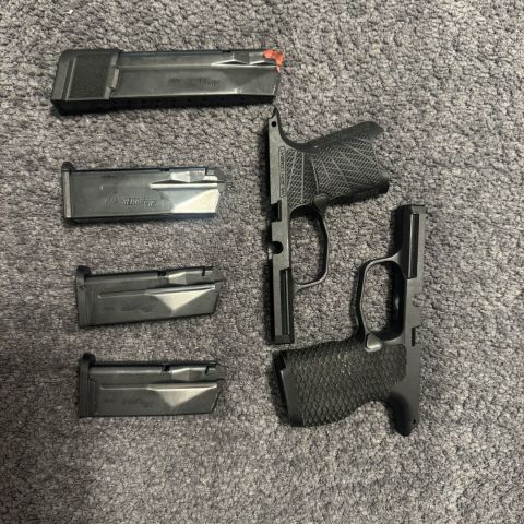P365 mags + grips (boresight)