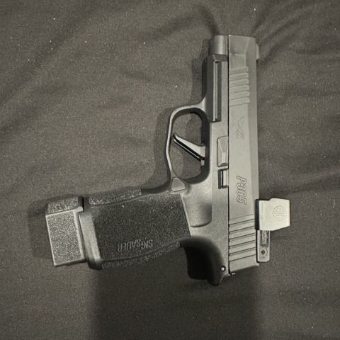 Sig 365xl