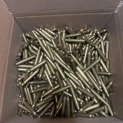 .300 win mag brass (425)