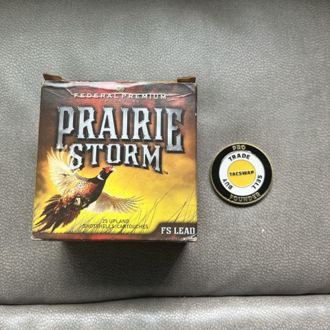 12ga prairie storm 
