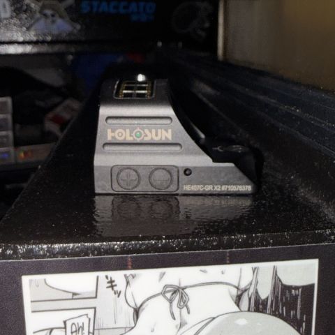 Holosun 407c green x2