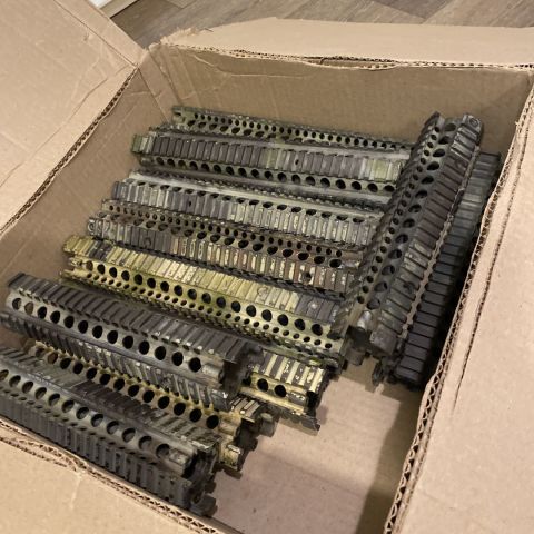 Savannah and BC Ris ii’s 