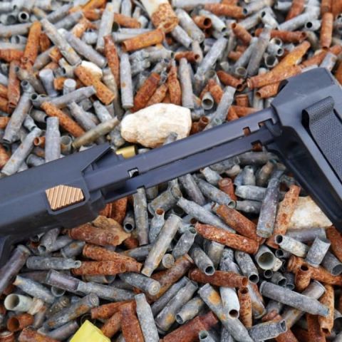 WTB: Q / NOVESKE BRACE