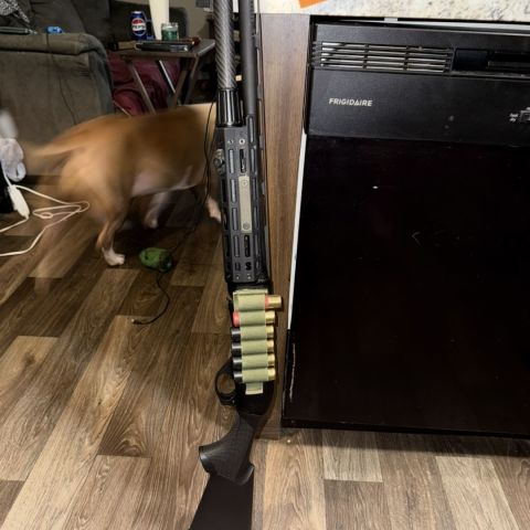 MAC agency tradesman 12 gauge 