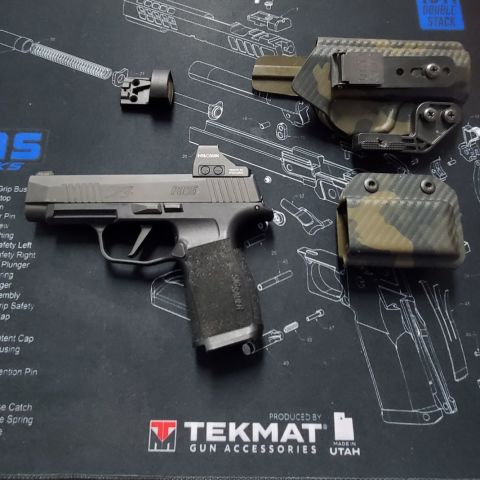 Sig 365 xl with 6 mags 