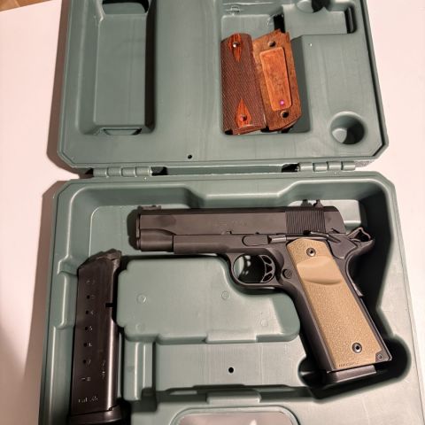 Para Ordnance 1911 GI LTC 45