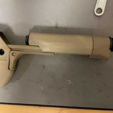 Reptilia recce stock fde