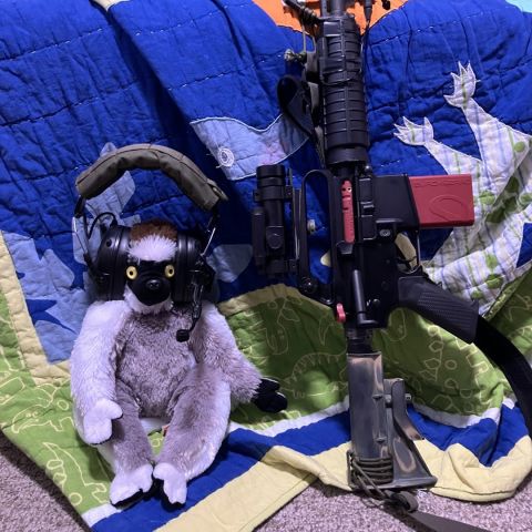 Earmore OpsMan ear pro