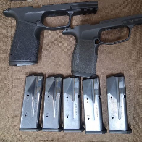 Sig grip modules & mags