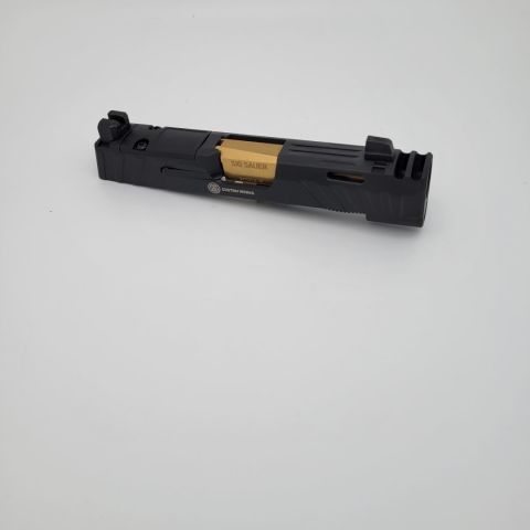 P365 Slides Several Options. 