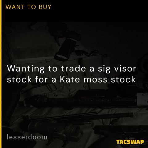 Sig Visor STK for KateMoss STK