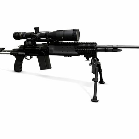 MK14 EBR M1A National Match