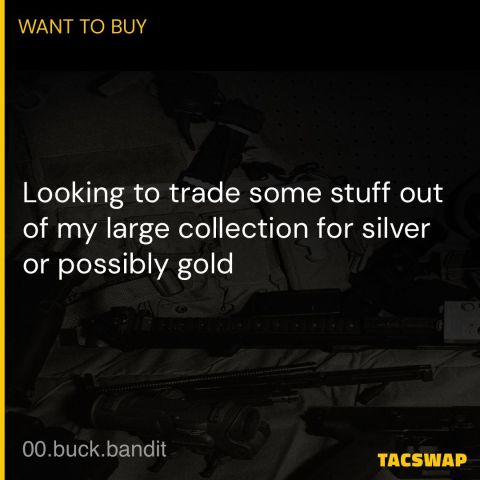 Guns/optics/gear for silver