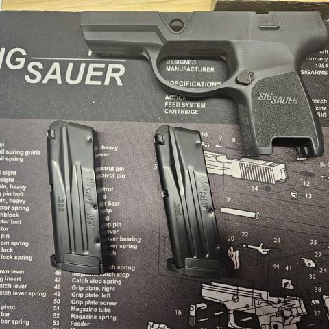Sig p250 .380 auto magazine 