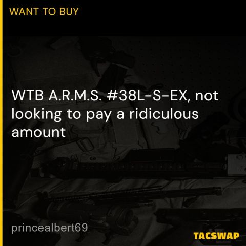 WTB ARMS #38L-S-EX 