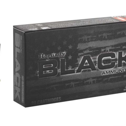 Horny Black - UT local