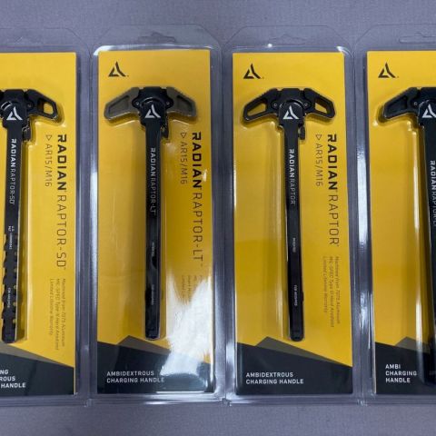 Radian Raptor CH, Talon Ambi Safety