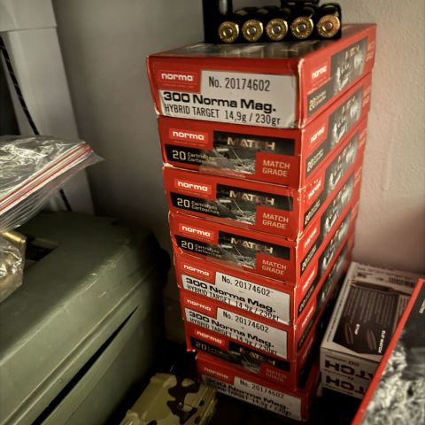 300NM Match Hybrid Target 