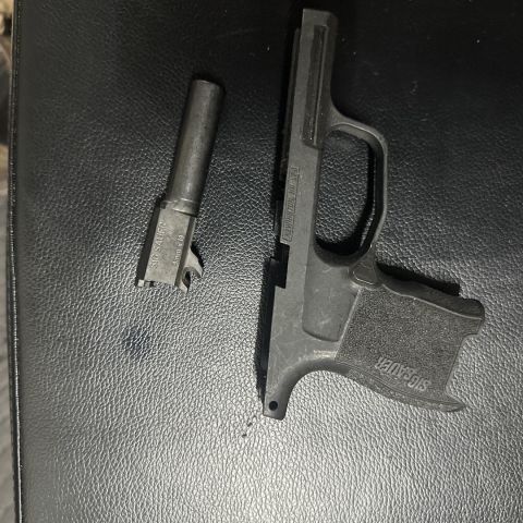 Sig 365 barrel and grip