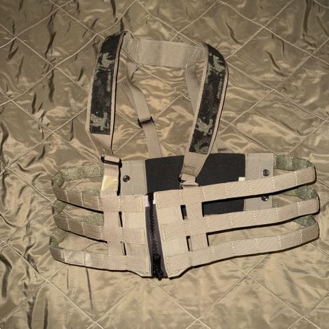 Crye low pro chest rig