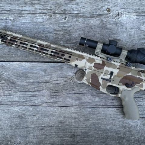 Custom AR308 High End Components