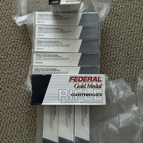 Federal 69gr GMM 223 556
