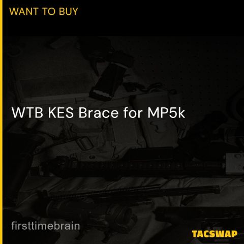 WTB KES Brace for MP5k