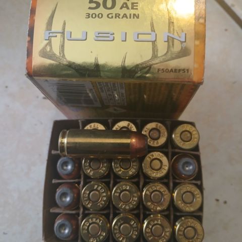 50AE ammo JHP