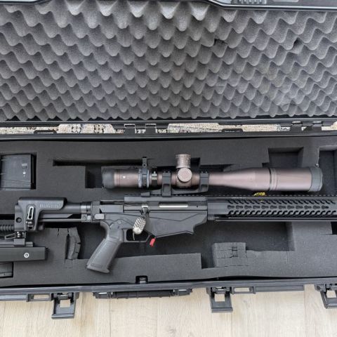 Ruger precision 308 package 